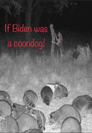2B39A533-62B3-4371-B0E9-19C3FFCEF8EC.jpeg