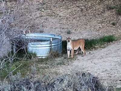 IMG_3548.JPG
