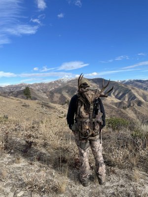 IMG_0500.jpeg