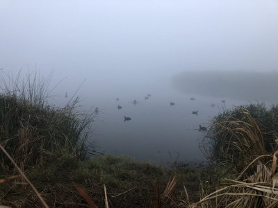 IMG_3607.JPG