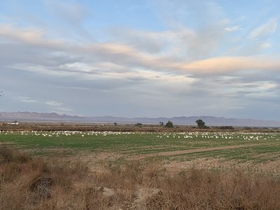 IMG_3362.JPG