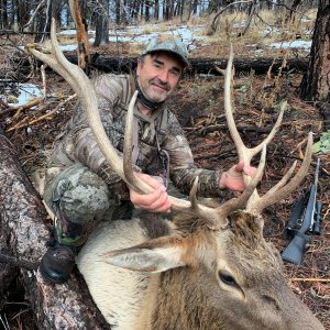 2019 elk.jpg