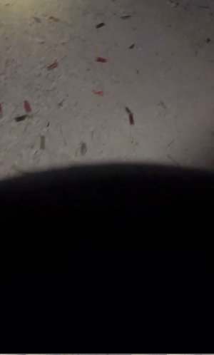 IMG_0986.jpg