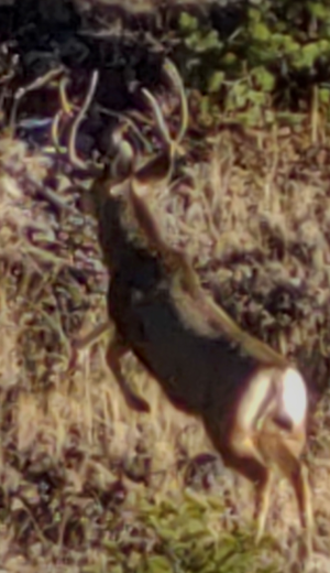 Screenshot_20211211-154536~2.png