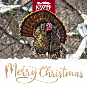 Merry Christmas NWTF.jpg