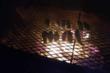 IMG_20211227_195558770.jpg
