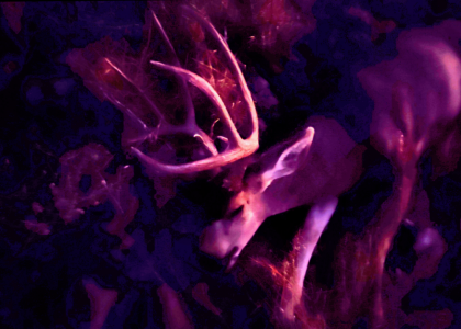 Screenshot_20211227-232242~4.png