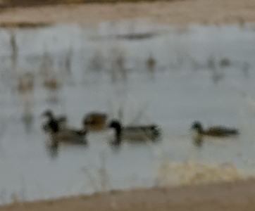 Screenshot_20211231-144702.png