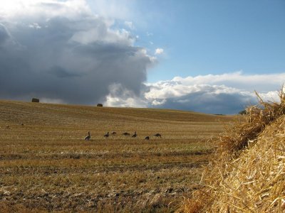 canada 2007 048.jpg