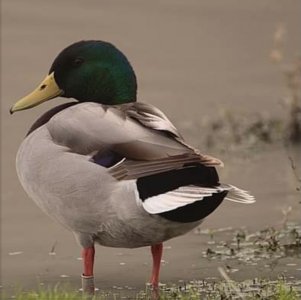 E1516164-2926-46E9-9E2D-545AF0D8B2F6.jpeg