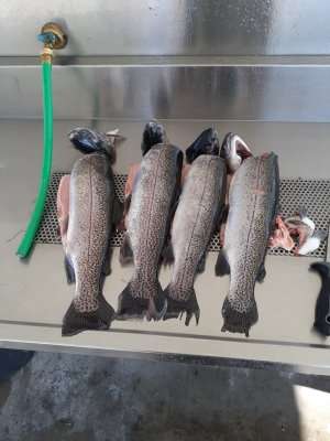 20220121_120534.jpg
