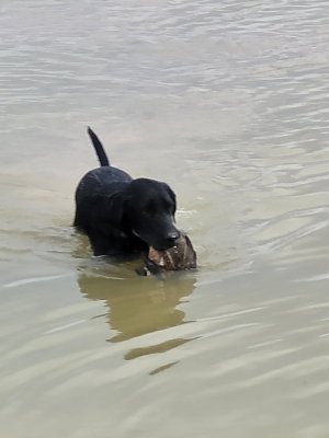 20220129_124216.jpg