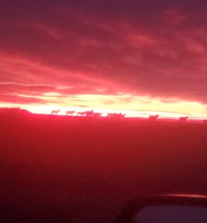 20220116_070935.jpg