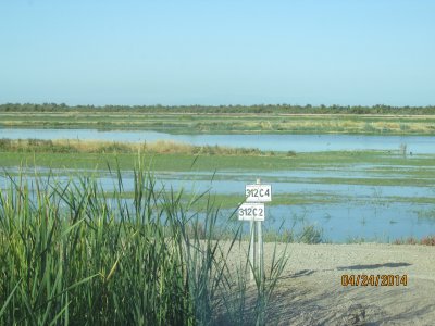 IMG_7180.JPG