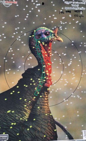 turkey pattern.jpg