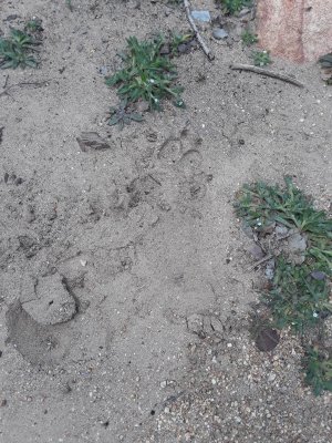 20190412_124921-1.jpg