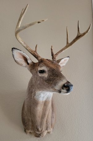 20220212_102224.jpg