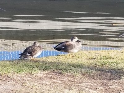 20220213_083012.jpg