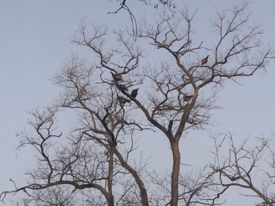 IMG_4655.JPG