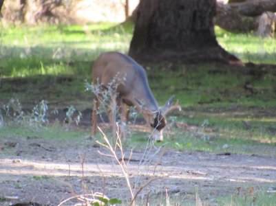 IMG_0382.JPG