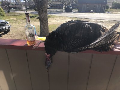 turkey opener 2021 79.JPG