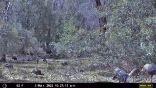71691857-DA17-44B6-99FE-A2F61D790B50.jpeg