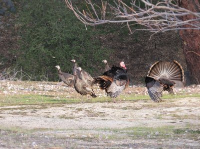 IMG_0679.JPG