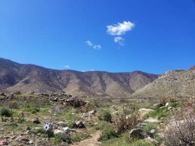 20220306_114328.jpg