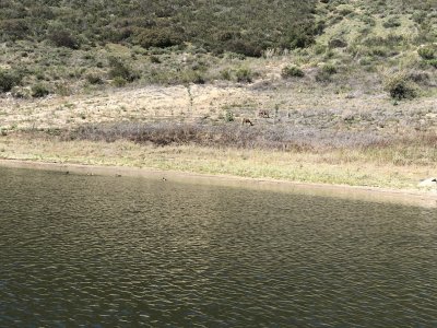 IMG_4806.JPG