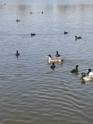 20220319_093353.jpg