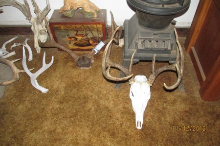 euro mount 003.JPG