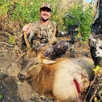 ID ELK.jpg