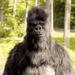 Resized_tenor_10889686_mediumgif_14005890599654.gif