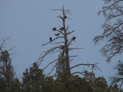 IMG_1002.JPG