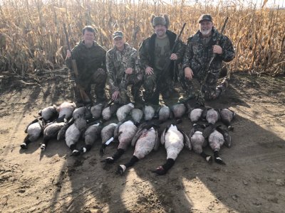 Goose Hunt .jpg