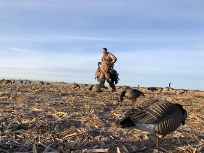 NorthFlightWaterfowl - Shane Moon.jpg