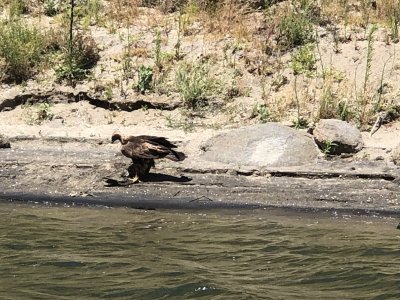 IMG_5527.JPG