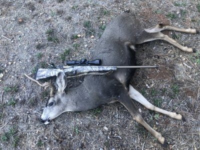 kiki buck '21 4.JPG