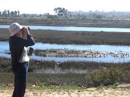 birder.jpg