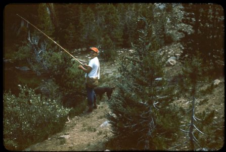 scan070.jpg