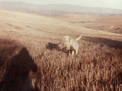 032.JPG