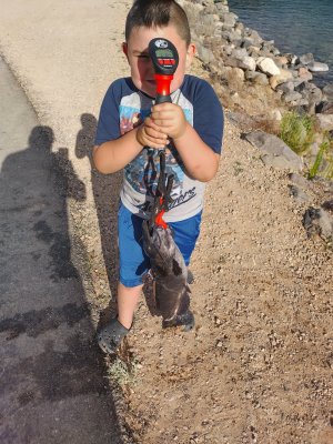 IMG_20220624_183326_HDR.jpg