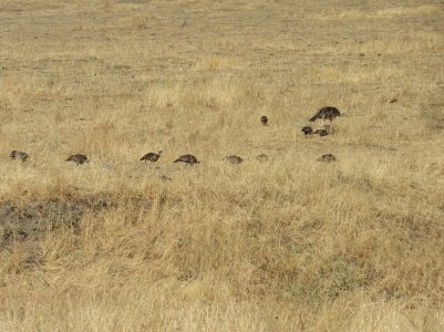 IMG_1193.JPG