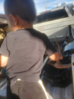 20201101_073510.jpg
