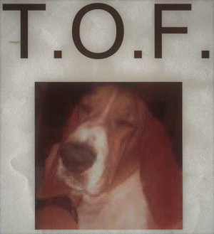 lloyd.jpg