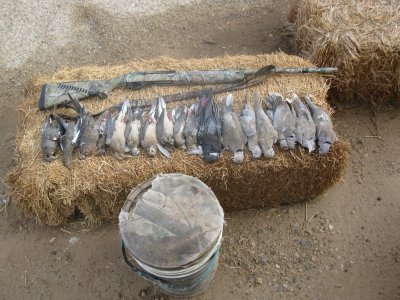 dove opener 9-1-11 031.JPG