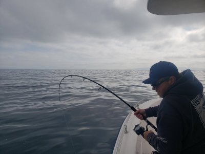 20220729_090945.jpg