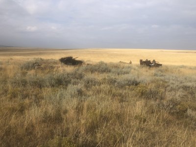 IMG_6405.JPG