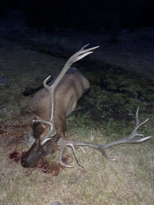 NE Elk Hunt 409.jpg