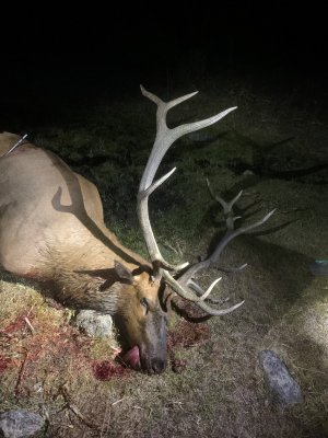 Ne Elk Hunt 409.jpg1.jpg